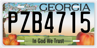 GA license plate PZB4715