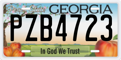 GA license plate PZB4723