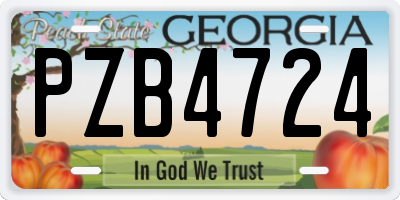 GA license plate PZB4724