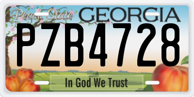 GA license plate PZB4728