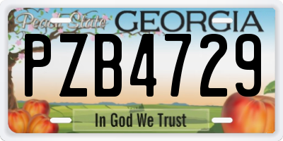 GA license plate PZB4729