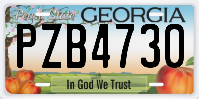 GA license plate PZB4730