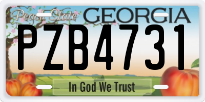 GA license plate PZB4731