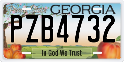 GA license plate PZB4732