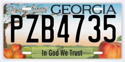 GA license plate PZB4735