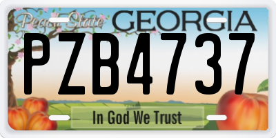 GA license plate PZB4737
