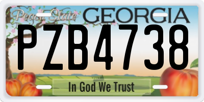GA license plate PZB4738