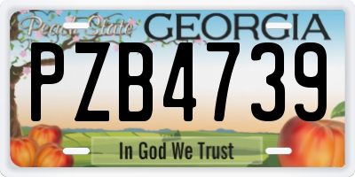 GA license plate PZB4739