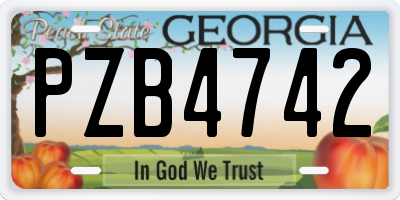 GA license plate PZB4742