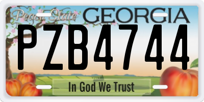 GA license plate PZB4744