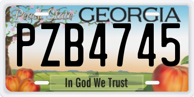 GA license plate PZB4745