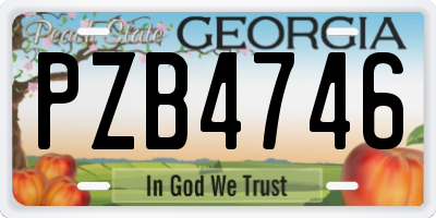 GA license plate PZB4746