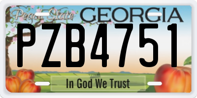 GA license plate PZB4751