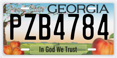 GA license plate PZB4784