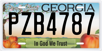 GA license plate PZB4787