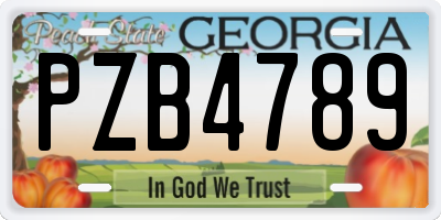 GA license plate PZB4789
