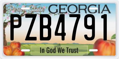 GA license plate PZB4791