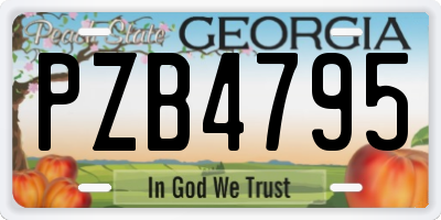 GA license plate PZB4795