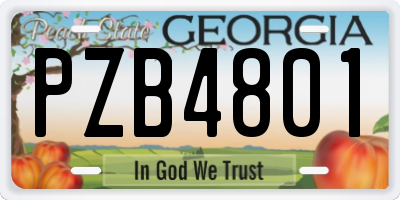 GA license plate PZB4801