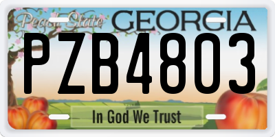 GA license plate PZB4803