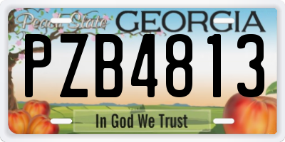 GA license plate PZB4813