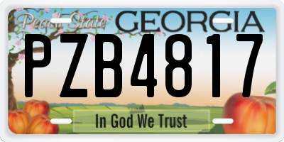 GA license plate PZB4817