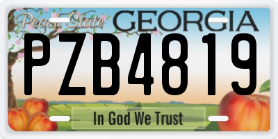 GA license plate PZB4819