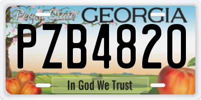 GA license plate PZB4820