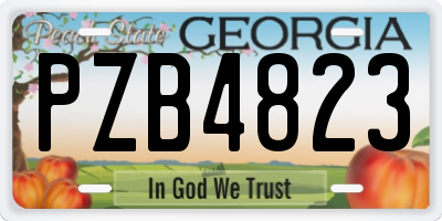 GA license plate PZB4823