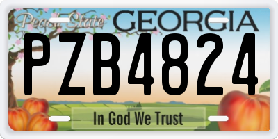 GA license plate PZB4824