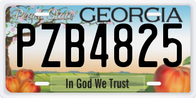 GA license plate PZB4825