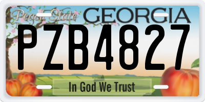 GA license plate PZB4827
