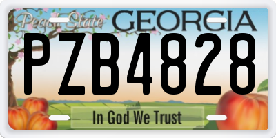 GA license plate PZB4828
