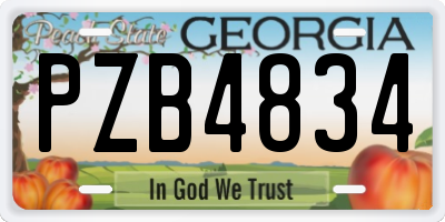 GA license plate PZB4834