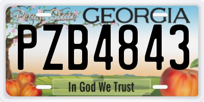 GA license plate PZB4843