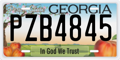 GA license plate PZB4845