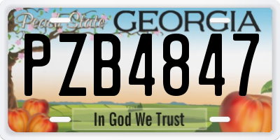 GA license plate PZB4847