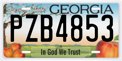 GA license plate PZB4853