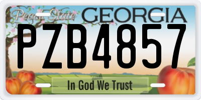 GA license plate PZB4857