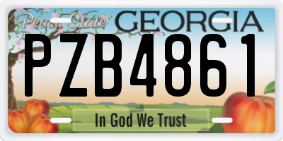 GA license plate PZB4861