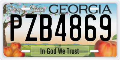 GA license plate PZB4869