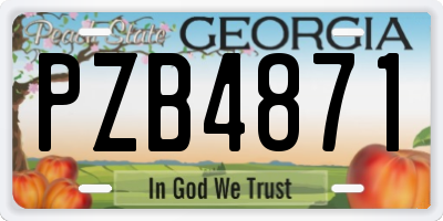 GA license plate PZB4871