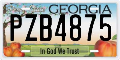 GA license plate PZB4875