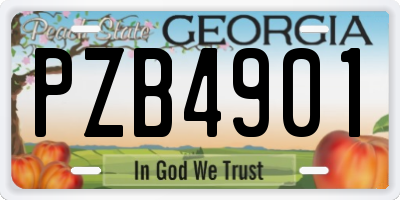 GA license plate PZB4901