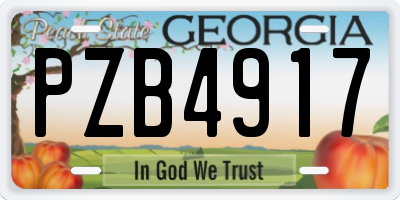 GA license plate PZB4917