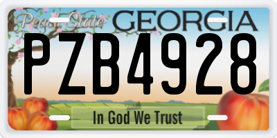 GA license plate PZB4928