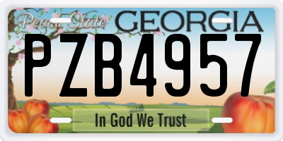 GA license plate PZB4957