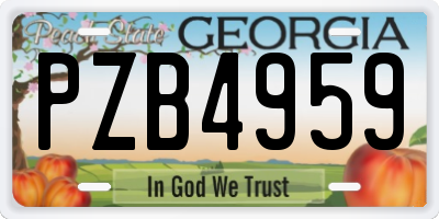 GA license plate PZB4959