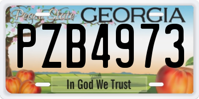 GA license plate PZB4973