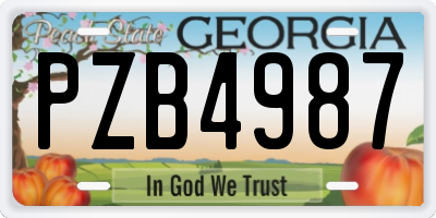 GA license plate PZB4987